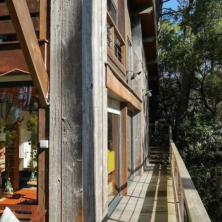 Ferienhaus La Tropicool Lège-Cap-Ferret